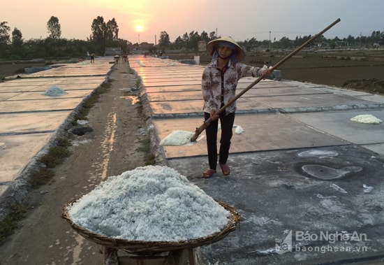 Diêm dân Quỳnh Lưu. Ảnh: Ngọc Bích