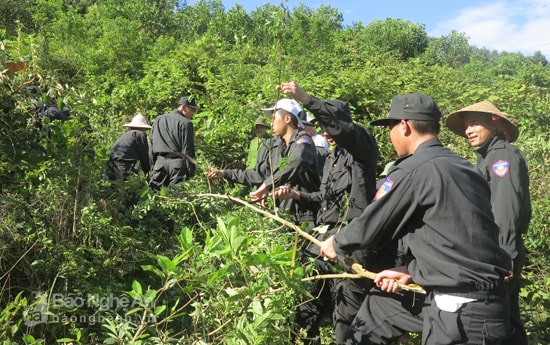 Phát băng cản lửa