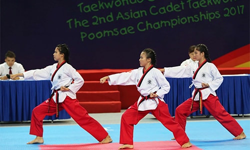 viet-nam-gianh-bon-hc-vang-giai-taekwondo-thieu-nien-chau-a