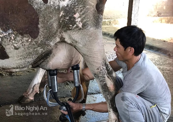 Người công giáo tiêu biểu ở Nghĩa Đàn. Ảnh: Minh Thái