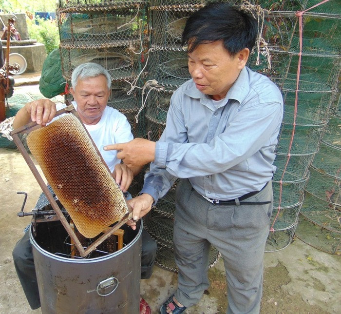 Cứ 12 – 15 ngày, mỗi tổ ong quay mật một lần, đạt trọng lượng gần 30 lít. Mật ong bạch đàn có giá bán 300 nghìn đồng/ lít, như vậy cho cho gia đình thu lãi gần 9 triệu đồng. Ảnh: Hồng Diện