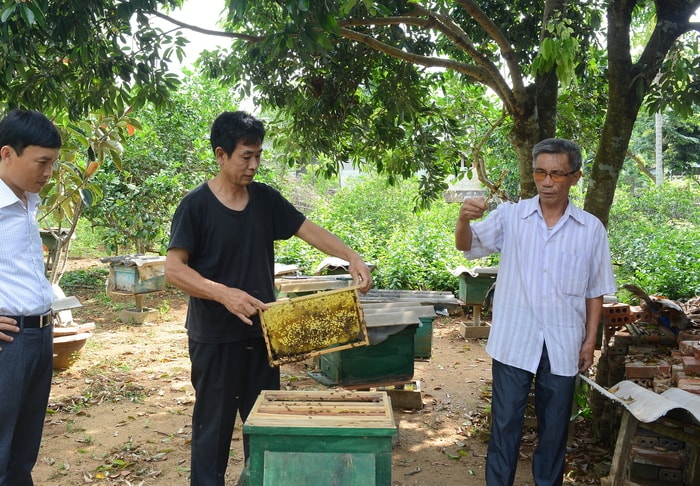 Cán bộ xã Tây Hiếu, Thái Hòa thăm mô hình nuôi ong tại xóm Phú Tân. Ảnh: Thu Giang