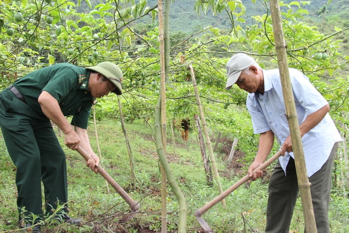 Cán bộ Đồn Biên phòng Mỹ Lý giúp người dân chăm sóc cây chanh leo. Ảnh: P.V