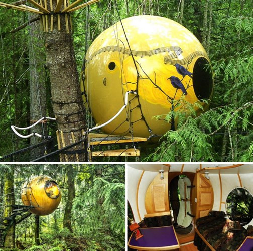 Free Spirit Spheres, Canada: Các phòng của khách sạn được thiết trong các khối cầu khổng lồ treo trên cây. Điều này đồng nghĩa bạn cảm thấy đu đưa nhẹ khi ở trên khách sạn.