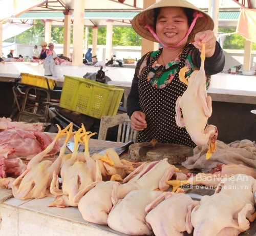 Những con vịt béo mầm đang được bán ở chợ Yên Thành