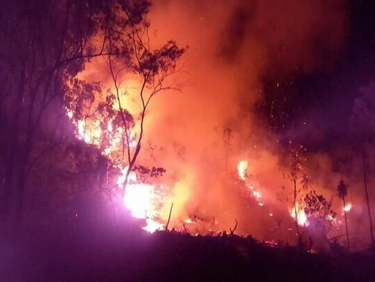 cháy rừng thông phòng hộ Quỳnh Lưu