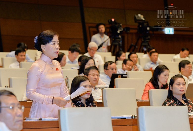 quốc hội, bộ trưởng, chất vấn, Đinh Duy Hòa