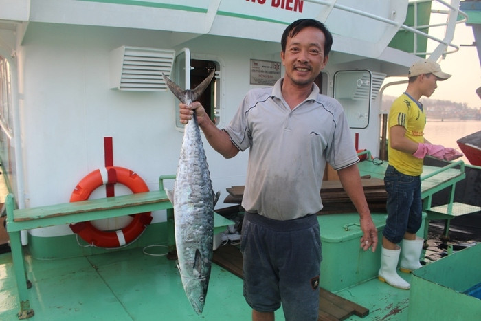 Ngư dân thị xã Hoàng Mai đánh bắt hải sản giá trị từ tàu vỏ sắt đóng theo Nghị định 67. Ảnh: Việt Hùng