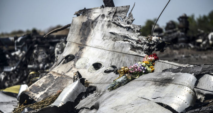 Chiếc Boeing của Malaysia có thể bị bắn hạ bởi máy bay chiến đấu của Ukraine. Ảnh: AFP