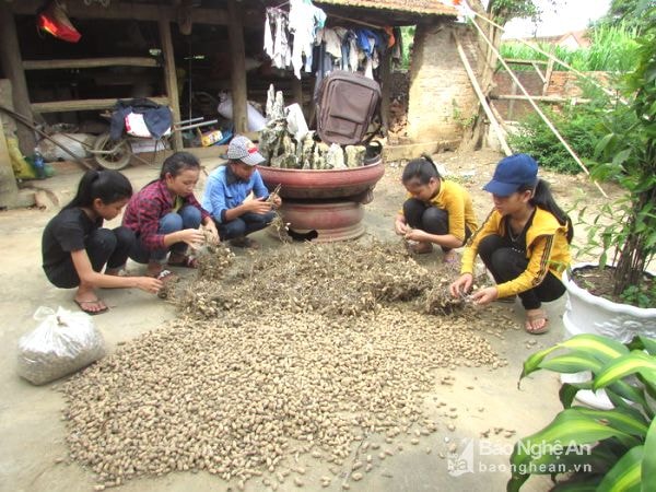 Thầy Học còn thành lập nhóm thiện nguyện có tên Hạnh phúc, tại đây khi rảnh rỗi các em học sinh cùng tham gia nhặt ve chai gây quỹ. Ảnh: Như Sương