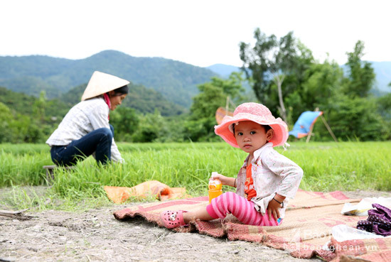 Một hình ảnh đẹp trên cánh đồng mạ ở bản Lủng.