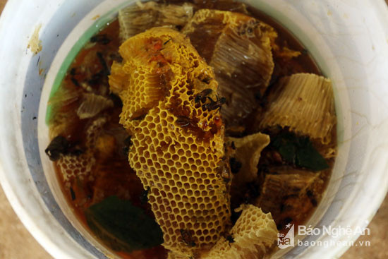 Những tầng ong dính đầy mật vàng ruộm và thơm ngon. Thời điểm hiện tại, ong rừng đang được nhiều người săn lùng bởi chất lượng tốt với giá 500-600 nghìn/lít. Ảnh: Đào Thọ