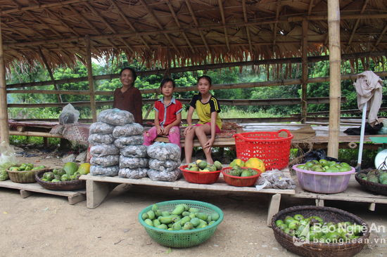 Đứa trẻ nào cũng mong muốn được đi chơi, du lịch khi hè về, nhưng cuộc sống còn nhiều khó khăn, nỗi lo về miếng cơm, manh áo hàng ngày nên điều đó vẫn chỉ là mơ ước của những trẻ em nghèo vùng cao. Chính vì thế, với nhiều em chia sẻ gánh nặng với cha mẹ bằng cách chạy chợ. Em Lữ Thùy Dương ( 8 tuổi, em ngồi giữa) ở bản Cây Me, xã Thạch Giám ( Tương Dương) chia sẻ “ Nghỉ hè em cũng muốn được đi chơi thật vui vẻ với bạn bè, nhưng gia đình khó khăn quá nên ở nhà em bán hàng giúp mẹ”. Ảnh: Đình Tuân