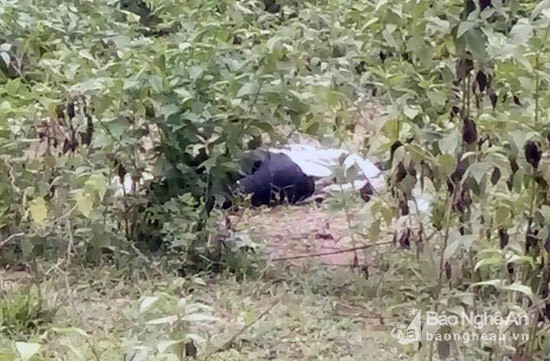 Xác chết được phát hiện bên vệ đường tại xã Quang Phong ngày 19/6. Ảnh PV