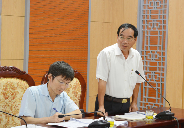 Phó Chủ tịch HĐND tỉnh Hoàng Viết Đường phát biểu tại buổi làm việc. Ảnh: Thu Giang