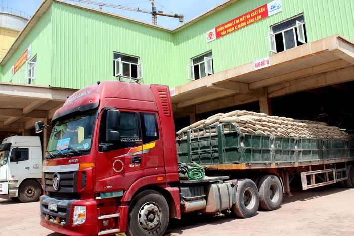 Các phương tiện nhận xi măng bao tại Trạm nghiền xi măng Nghi Thiết. Ảnh: Nguyên Sơn