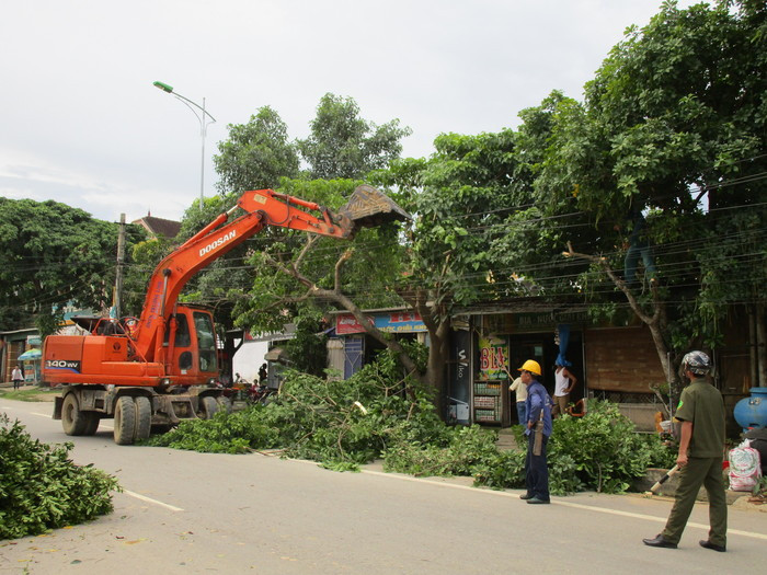 Các loại xe, máy đã được huy động để chặt tỉa cây xanh trên tuyền Quốc lộ 48 đoạn chạy qua thị trấn Tân Lạc. Ảnh: Nga Nga