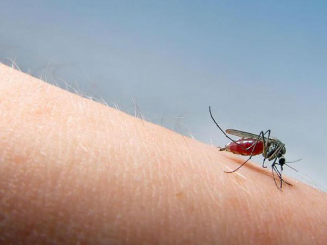 Khi một côn trùng cắn, bôi một vài giọt nước khử mùi trên vết cắn để thoát khỏi cảm giác ngứa ngáy.