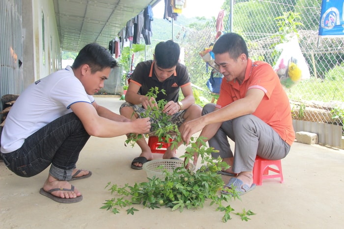 Ngoài nhà trọ miễn phí, thầy Tuấn còn trực tiếp chuẩn bị bữa ăn cho các thí sinh. Ảnh: Mỹ Hà