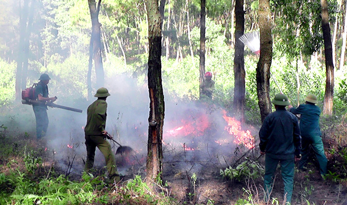 Lực lượng trung đội nòng cốt PCCCR xã Sơn Thành diễn tập xử lý và dập tắt đám cháy vùng Rú Bạc. Ảnh Phan Hiền