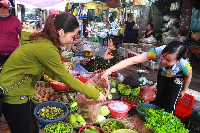 TP Vinh trồng đậu bắp