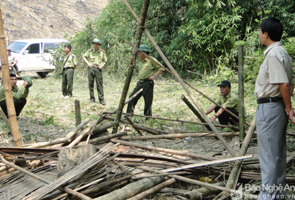 Tháng 5/2011, anh Vi Văn Sinh (trú xã Lục Dạ, Con Cuông), cùng vài người khác đến bản Vều dựng lán phát rẫy trồng cao su thuê. Nửa đêm, trong lúc đang ngủ say thì đàn voi hung hăng xông vào phá lán trại, quật chết anh Sinh và làm một người khác bị thương. Từ đó đến nay, đàn voi này liên tục quấy phá. 