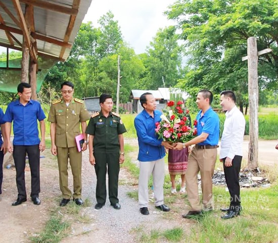 Tỉnh đoàn