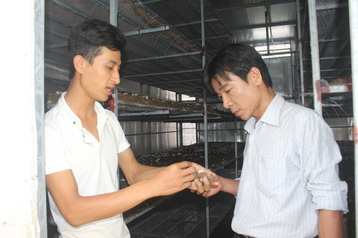 Phạm Hùng Thuận (trái) giới thiệu về cây nấm bông của mình. Ảnh: Đào Tuấn 