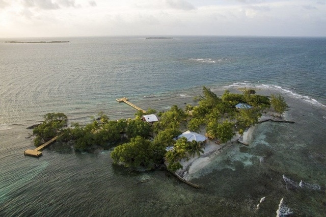 Đạo diễn phim Ford Coppola hồi năm ngoái mới mở cửa khu nghỉ dưỡng Coral Caye ở Belize. Khu nghỉ dưỡng này nằm bao quanh với một hệ sinh thái biển rất đa dạng.
