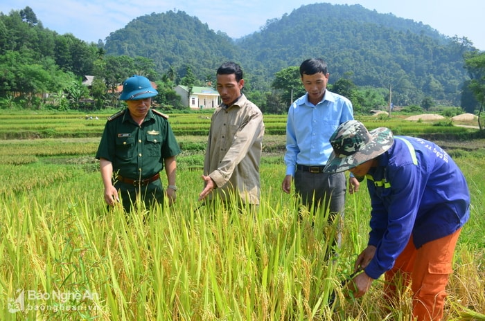 Đồng chí Lê Văn Phượng (thứ 2, trái sang) - Bí thư Chi bộ Pỏm Om, xã Hạnh Dịch (Quế Phong) trao đổi với cán bộ xã và người dân về kết quả vụ thu hoạch lúa