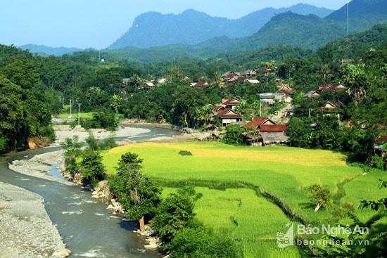 Bản Lưu Phong (xã Lưu Kiền - Tương Dương) nằm bên dòng Nậm Càn uốn lượn quanh những khu ruộng bậc thang. Ảnh: Đào Thọ