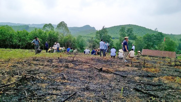 Người dân xã Kim Thành (Yên Thành) đến vùng rừng Nhà Đũa để trồng cây. Ảnh: Văn Trường