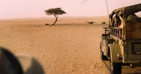 Cây Tenere, sa mạc Sahara, Nigeria: Đây là cây xanh duy nhất trong bán kính 200 km của sa mạc Sahara, được những người du mục dùng làm điểm định hướng. Sự tồn tại của Tenere giữa môi trường khắc nghiệt là một điều kỳ diệu. Ảnh: Treehugger.
