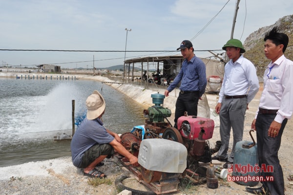 Cán bộ xã Quỳnh Lập (TX. Hoàng Mai) trực tiếp nắm bắt tình hình để cùng tháo gỡ khó khăn cho những người nuôi tôm. Ảnh: Mai Hoa