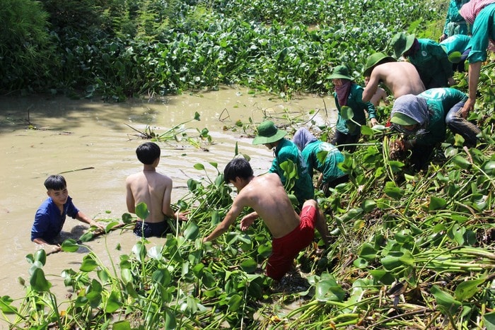  Vớt bèo giữa kênh sâu, nước bẩn, nhiều gai góc là công việc khá vất vả. Ngay trong một buổi đoàn đã vớt được hàng trăm mét kênh với hàng chục tấn bèo tây, góp phần khơi thông dòng chảy, đảm báo tưới tiêu cho địa phương. Ảnh: Huy Thư