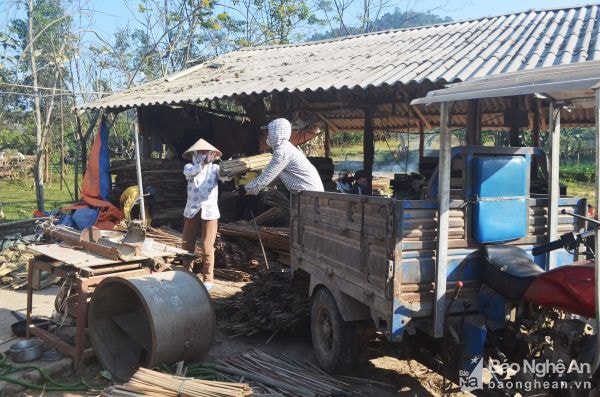 Sản xuất tại HTX chế biến nứa lùng Quế Sơn, huyện Quế Phong. Ảnh tư liệu Thành Duy