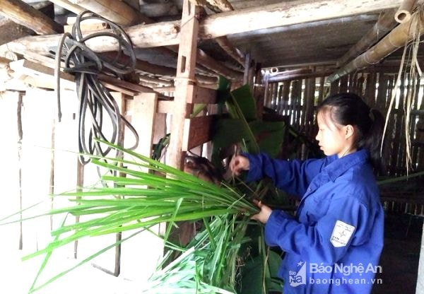 Bố mẹ chủ yếu làm nông nghiệp nên ban ngày, ngoài thời gian học ở lớp Oanh phụ giúp bố mẹ các công việc nhà. Ảnh: Thái Hiền