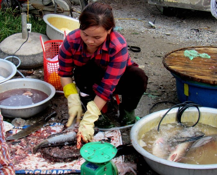 Tiểu thương tại chợ Hưng Thịnh (Hưng Nguyên) sơ chế cá trực tiếp bên lề đường và đổ nước thải trực tiếp ra môi trường. Ảnh: Quang An