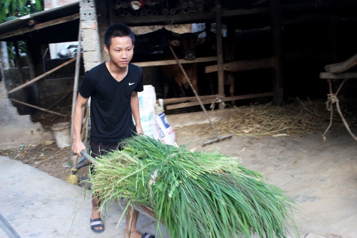 Ngoài giờ học, Đại chăm chỉ phụ giúp bố mẹ việc nhà. Ảnh: Huy Thư