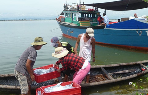 hỗ trợ cho ngư dân