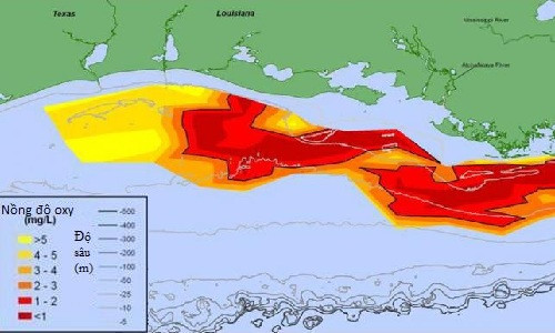 Vùng chết trên vịnh Mexico tăng gấp đôi kích thước trong năm nay. Ảnh: NOAA.