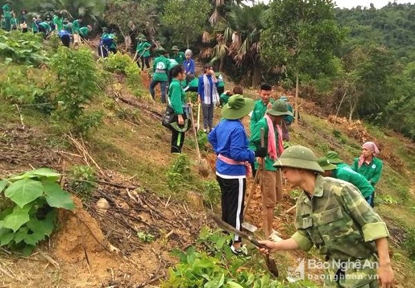 Hơn 50 sinh viên, thanh niên tình nguyện giúp người dân mở đường. Ảnh: Mỹ Hạnh