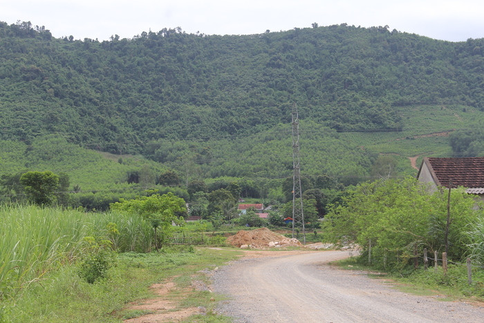 Khu vực núi Pù Đông thuộc xóm Bọ là rừng tự nhiên, núi đá đang được UBND xã Yên Hợp giao cho cộng đồng xóm Bọ quản lý. Ảnh: Nhật Lân