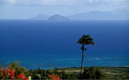 Nằm giữa đảo Nevis và đảo Montserrat thuộc vùng biển Ca-ri-bê, hòn đảo nhỏ Redonda thuộc quyền sở hữu của Matthew Dowdy Shiell từ năm 1865 theo sự chấp thuận của Văn phòng Thuộc địa Anh. Như trong văn bản, danh hiệu của ông là “vua”. Sau đó, danh hiệu này được trao lại cho con trai ông, Matthew Phipps Shiell, khi con trai ông lên ngôi năm 15 tuổi trước sự chứng giám của một giám mục đến từ Antigua. Hiện nay đang có ít nhất 4 người cùng chanh trchấp quyền sở hữu quốc đảo này.
