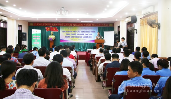 anh 11