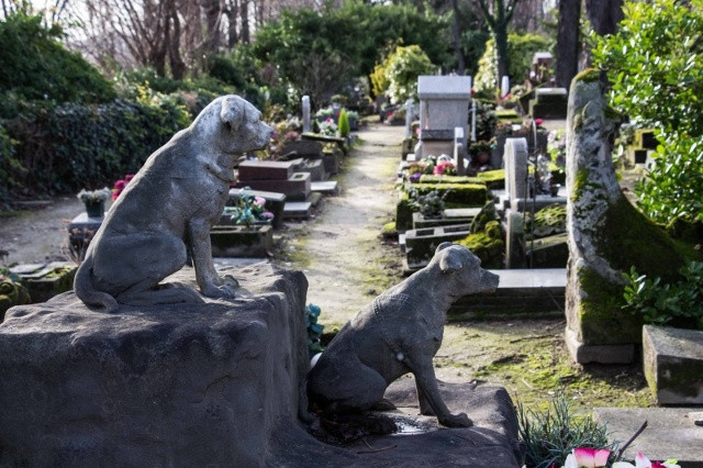 Vào năm 1899, sau khi chính phủ Pháp ban hành đạo luật nghiêm cấm chôn và vứt xác động vật bừa bãi, nhà báo Marguerite Durant và luật sư Georges Harmois đã quyết định thành lập khu chôn cất riêng cho động vật. Nơi an nghỉ cuối cùng của chó, mèo, sư tử… ở ngoại ô Paris hoa lệ này chính là nghĩa trang của động vật đầu tiên trên thế giới.