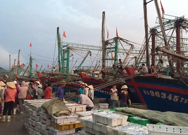 Ngay từ sáng sớm, hàng trăm người dân đã có mặt tại bến Lạch Quèn xã Tiến Thủy, Lạch Cờn phường Quỳnh Phương để đón tàu thuyền khai thác cá cơm cập bến. Ảnh: Như Thủy