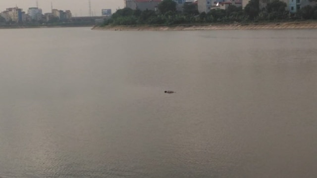 Thi thê nam thanh niên nổi giữa mặt hồ Linh Đàm. 