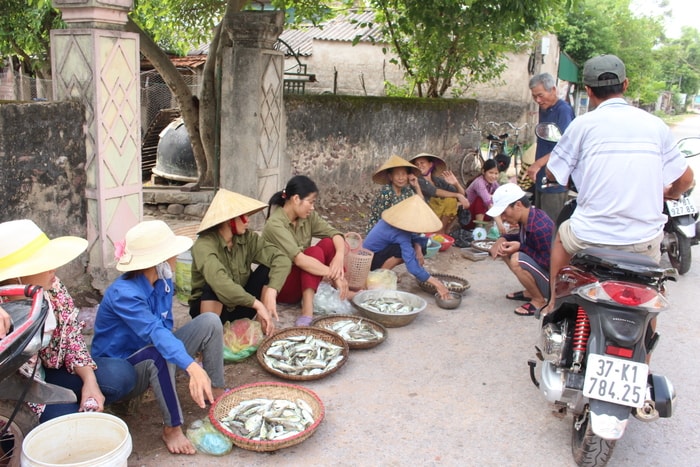 Dãy hàng bán cá nóc nhộn nhịp mỗi sớm mai. Ảnh: Văn Thành