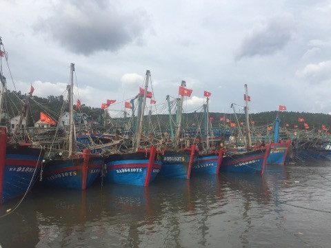 Tàu thuyền đánh cá vào trú tránh tại cảng Lạch Quèn, xã Quỳnh Thuận, Quỳnh Lưu. Ảnh: Đức Dương